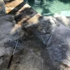 Pool Patio Cleaning in Vero Beach, FL 4